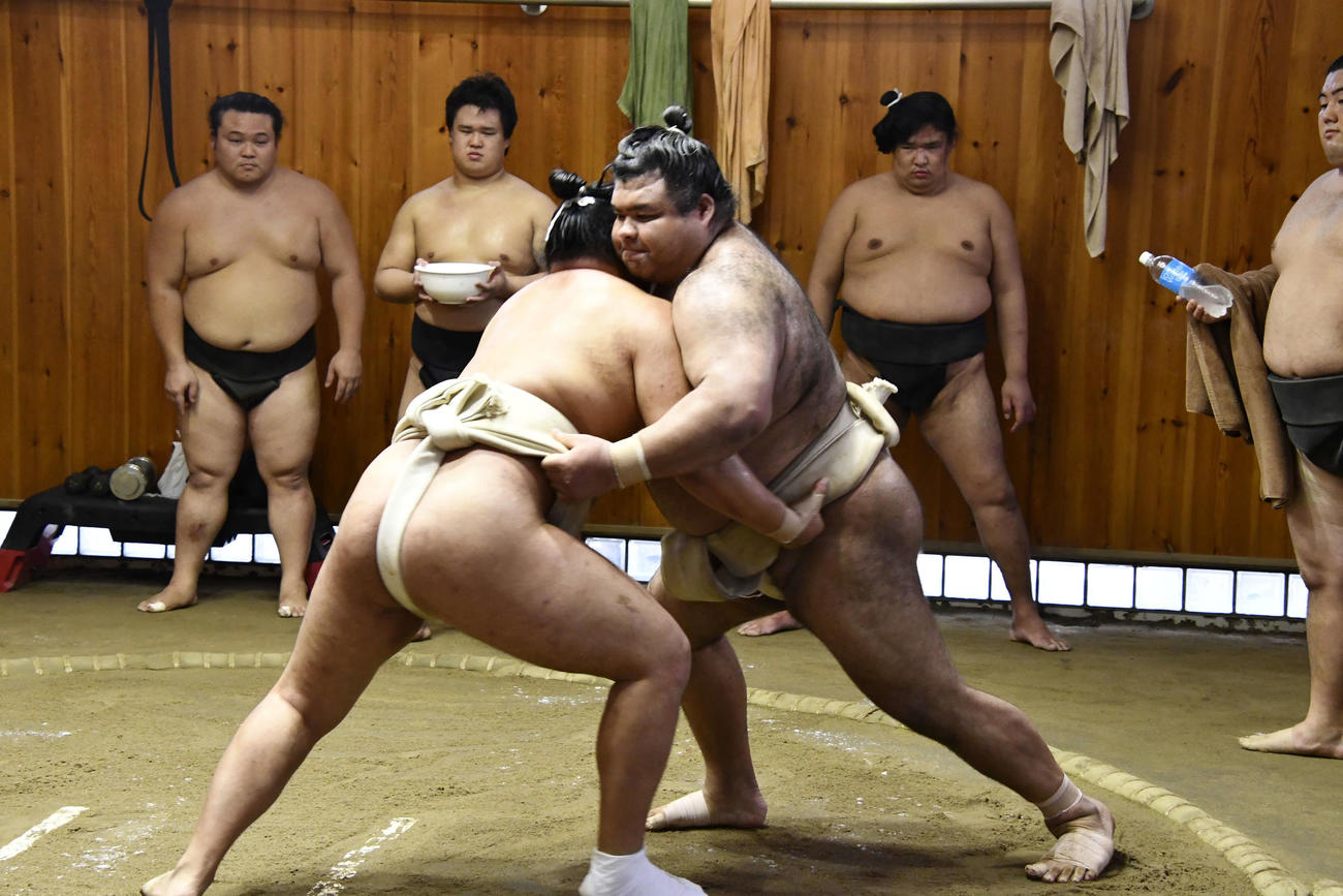 豊昇龍（左）と申し合い稽古を行う高安（代表撮影）
