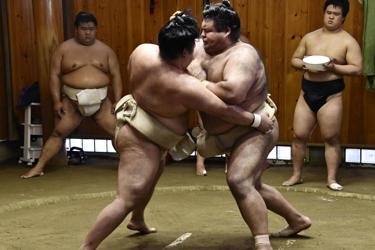 明生（左）と申し合い稽古を行う高安（代表撮影）