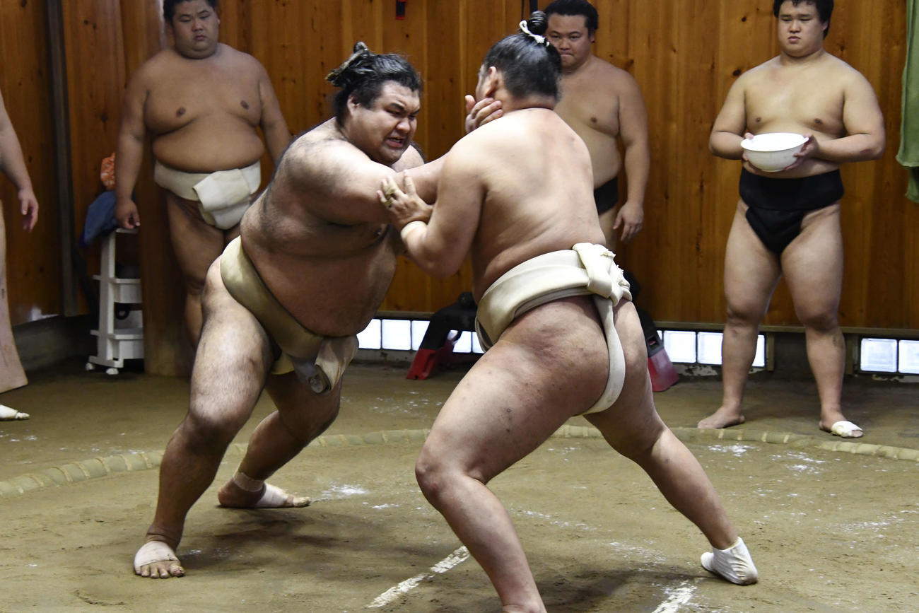 豊昇龍（右）と申し合い稽古を行う高安（代表撮影）