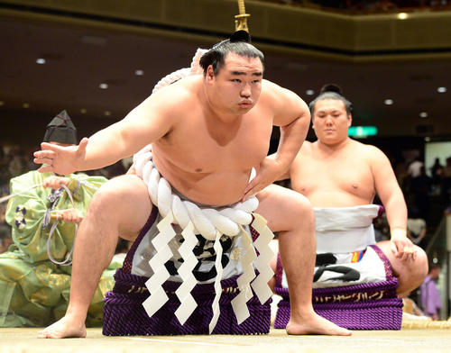 秋場所開催中に「特別展 71代横綱鶴竜力三郎」開催 親方衆によるトーク