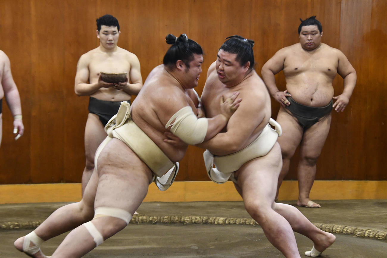 豊山（左）と申し合い稽古を行う正代（代表撮影）