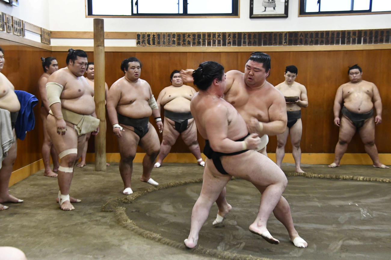 申し合い稽古を行う正代（代表撮影）