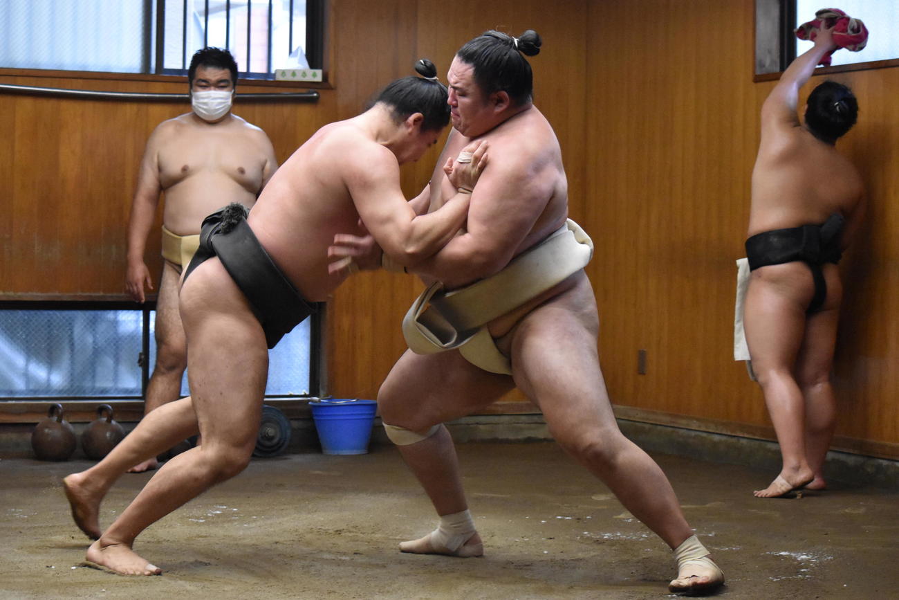 幕下以下の若い衆と相撲を取る玉鷲
