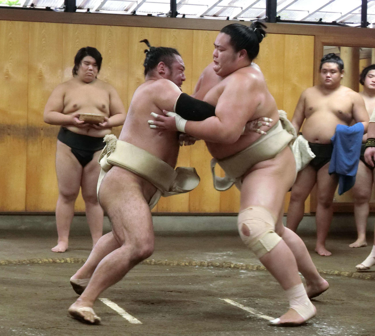 琴恵光（左）と相撲を取る琴ノ若