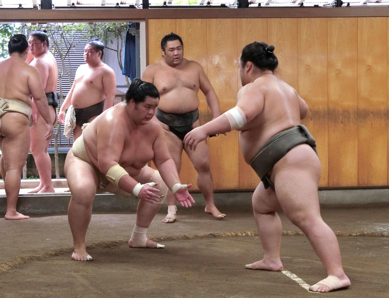 ぶつかり稽古で若い衆にぶつかる琴ノ若