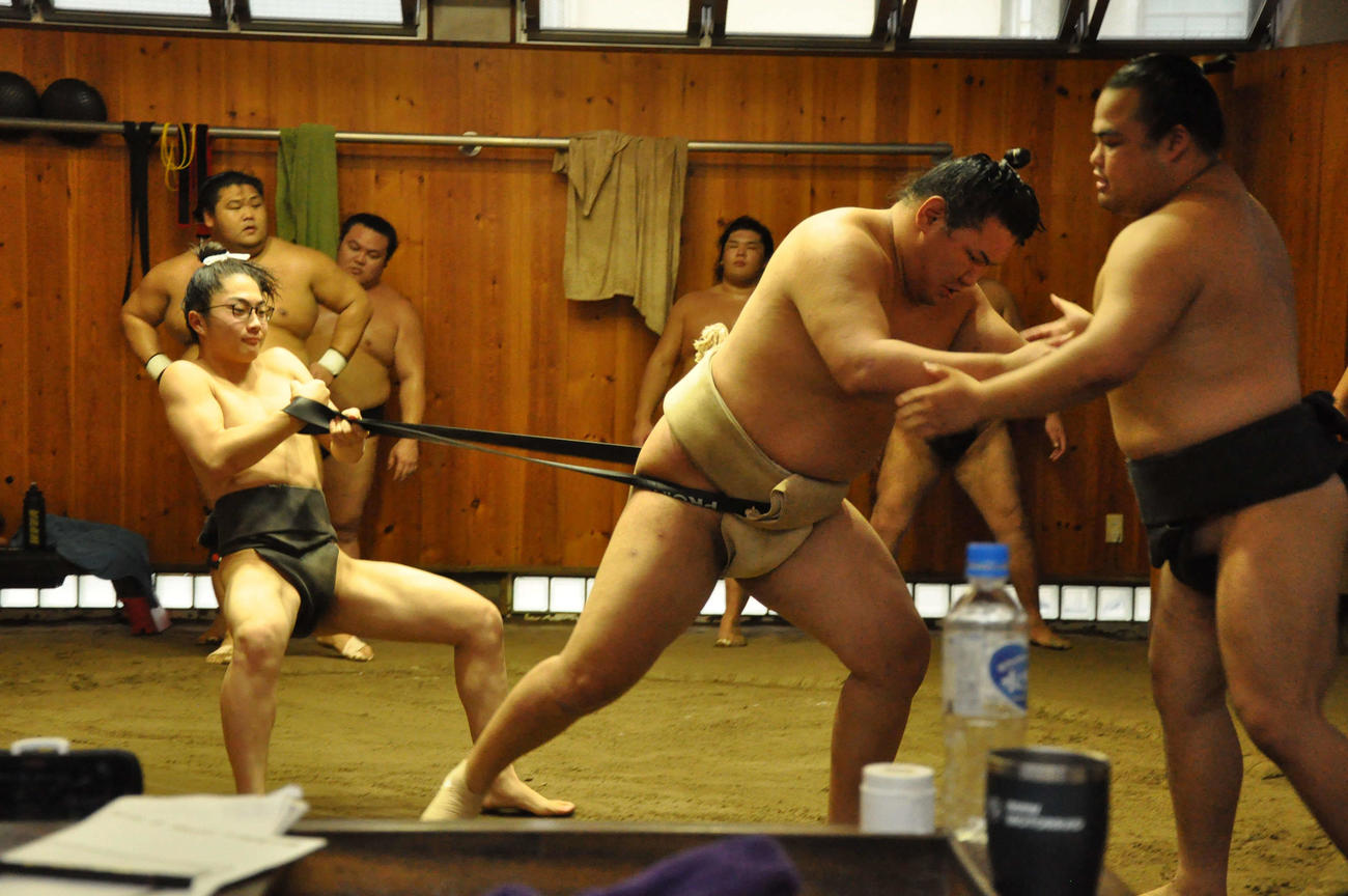 ゴムチューブで引っ張られながら、ぶつかり稽古を行う豊昇龍（代表撮影）