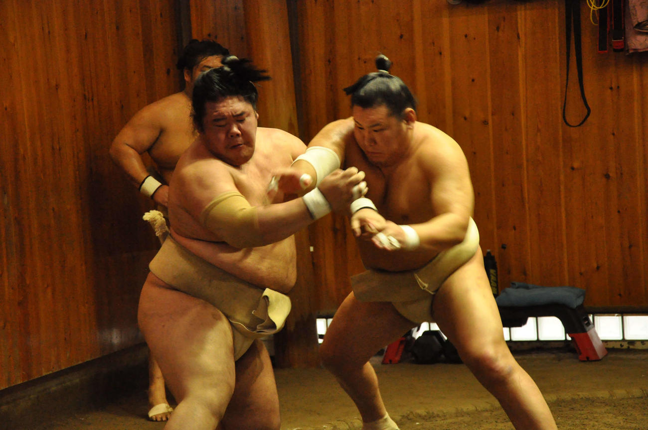 明生（左）と申し合い稽古を行う豊昇龍（代表撮影）