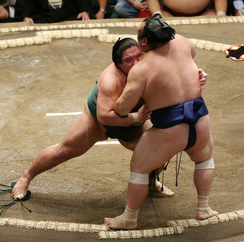 錦木（左）は寄り切りで宝富士を破る（撮影・宮地輝）