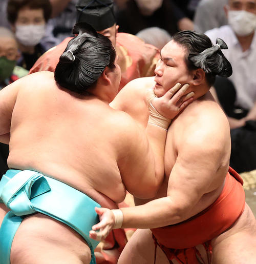 琴ノ若（左）に攻めを耐える豊昇龍（撮影・鈴木正人）