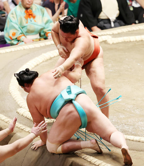 琴ノ若（下）を寄り倒しで破る豊昇龍（撮影・鈴木正人）