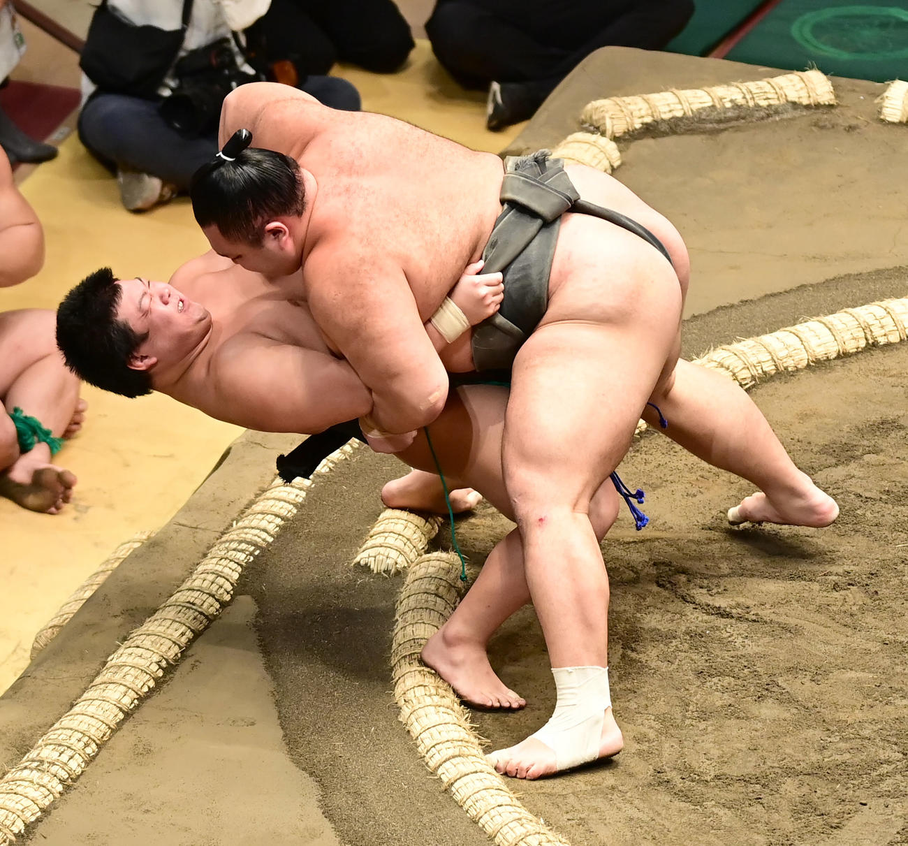 朝乃山（右）は幕下付け出し格でデビューした川副を寄り倒しで破る（撮影・小沢裕）