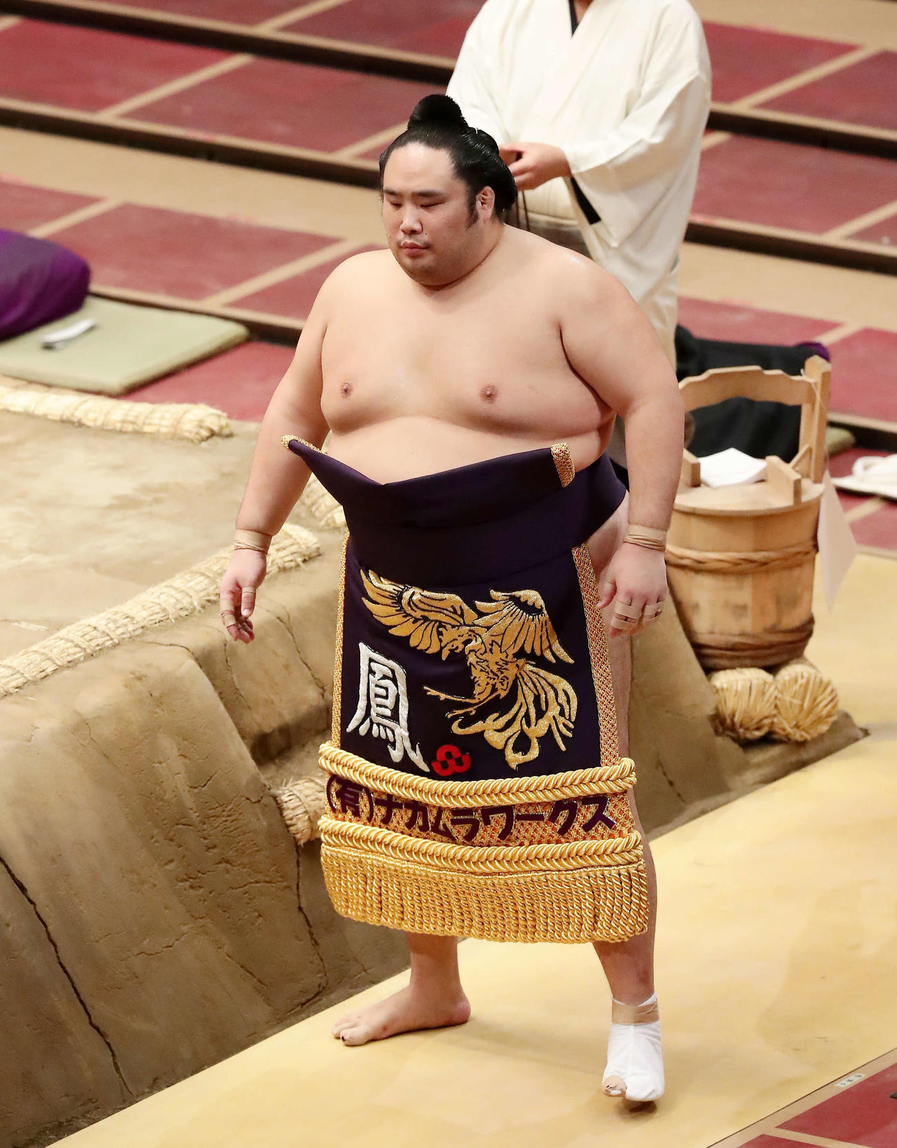 土俵入りする千代鳳（2020年11月19日撮影）