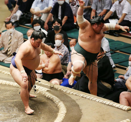 平戸海（左）は押し出しで豊山を破る（撮影・宮地輝）