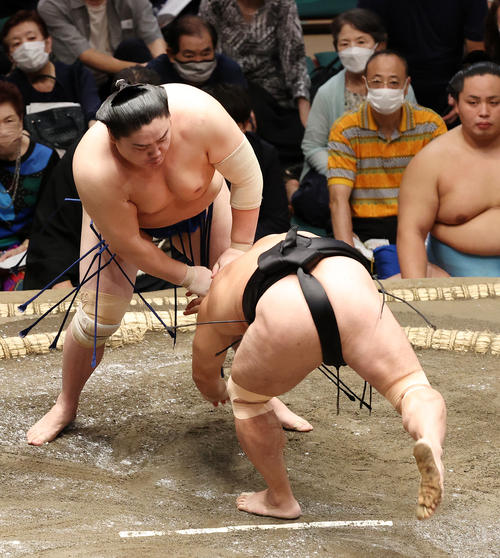 照強（右）をはたき込みで破る一山本（撮影・鈴木正人）