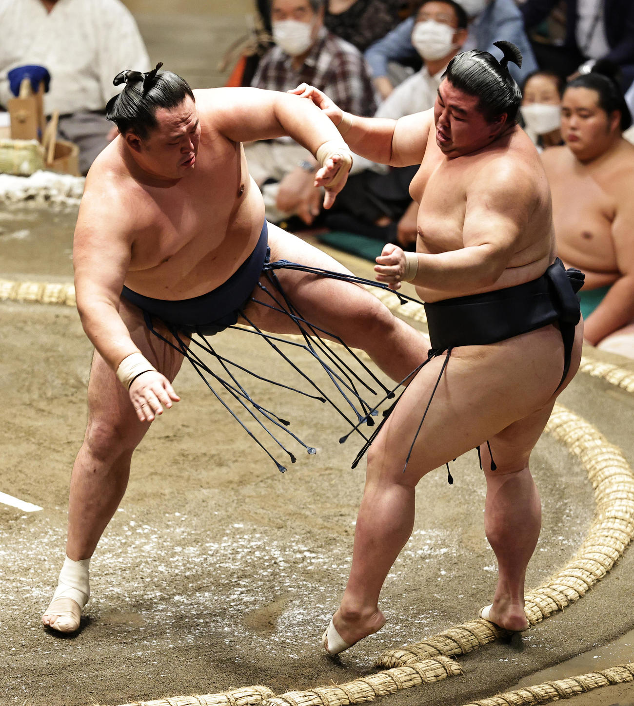 正代（右）を押し出しで破る玉鷲（撮影・中島郁夫）