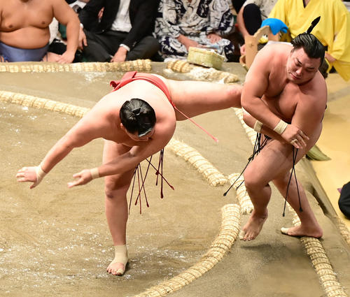 豊昇龍(左)は寄り切りで霧馬山を破る(撮影・小沢裕)
