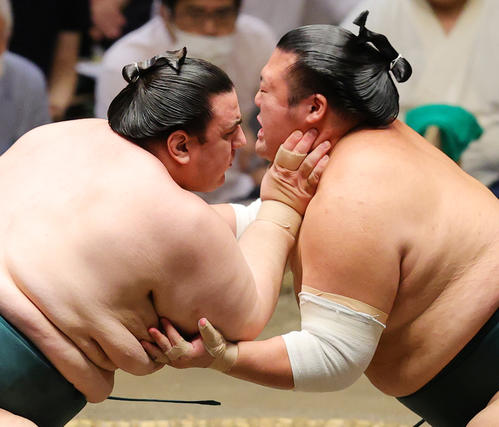 はたき込みで豊山（右）を破った碧山（撮影・野上伸悟）