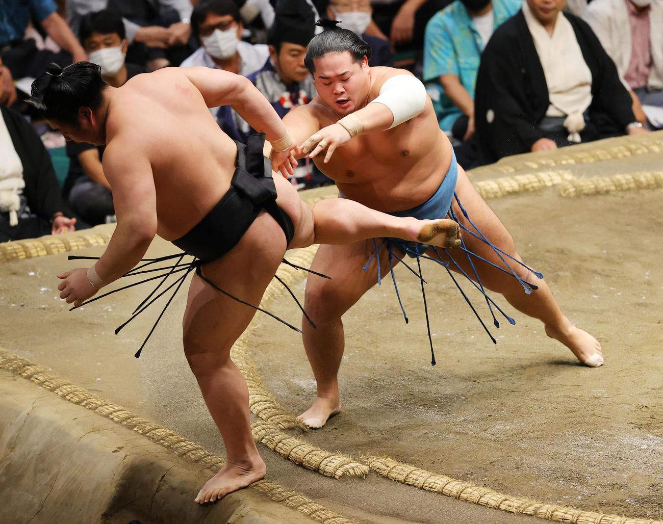 押し出しで若元春（左）を破る錦富士（撮影・野上伸悟）