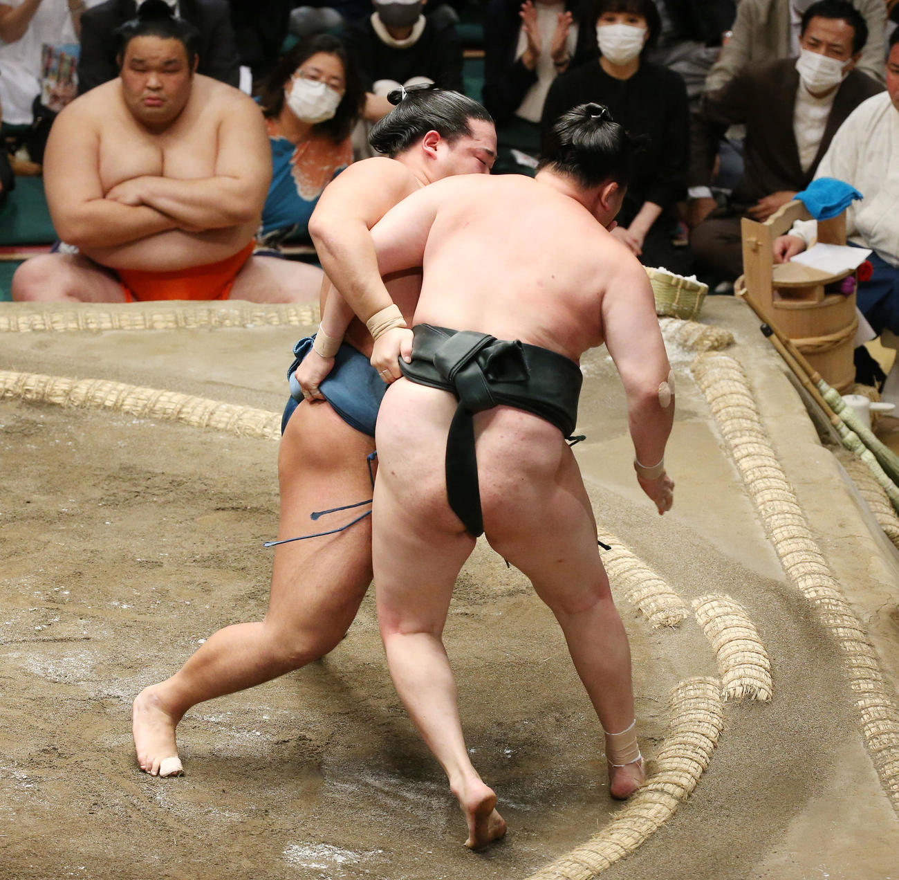 錦富士（左）は寄り切りで千代翔馬を破る（撮影・宮地輝）