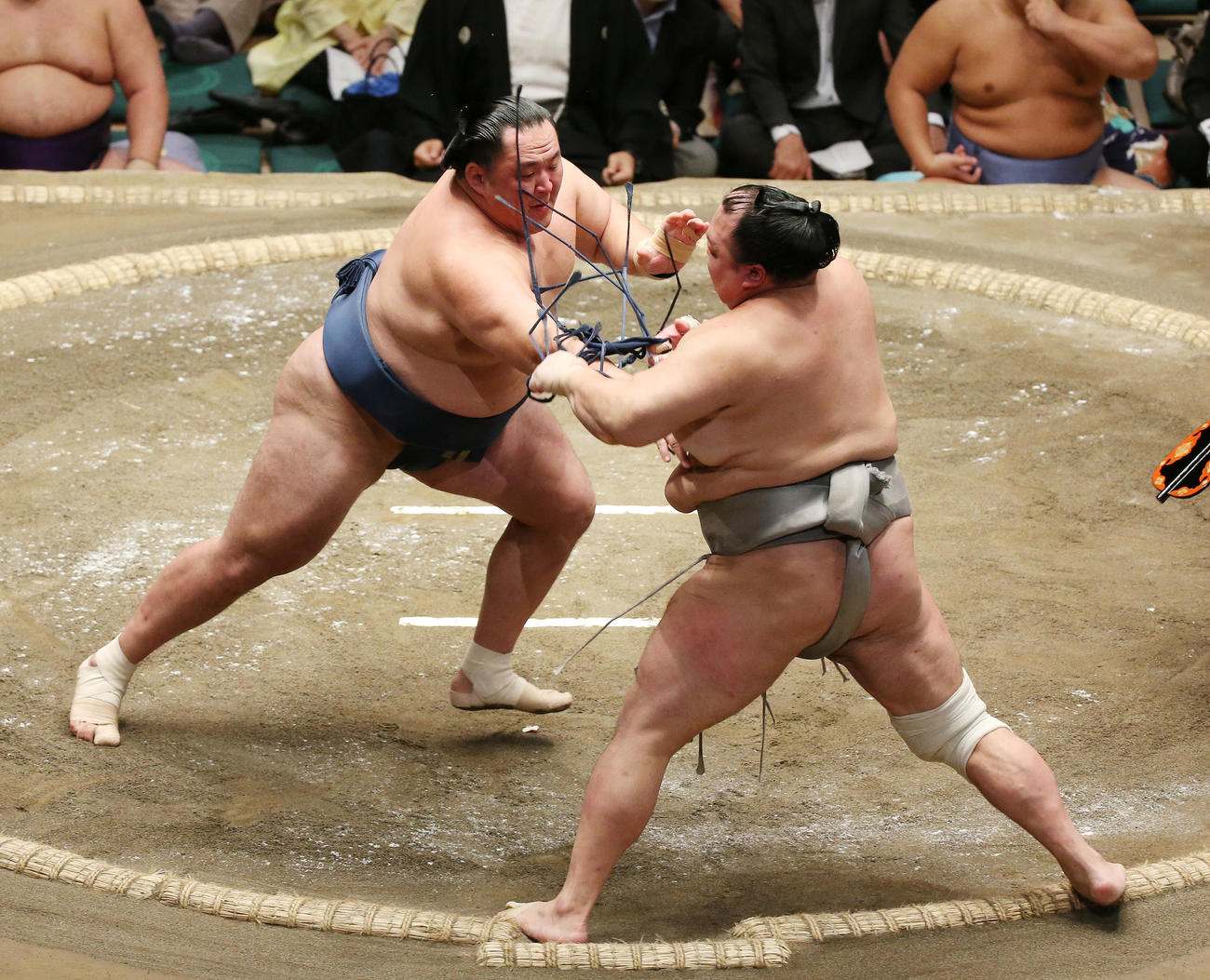 玉鷲（左）は押し出しで北勝富士を破る（撮影・宮地輝）