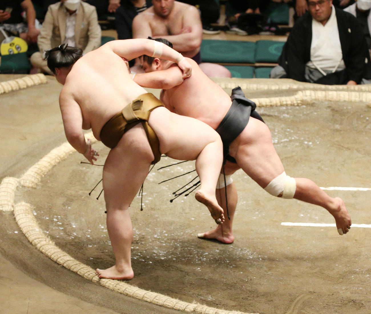 妙義龍（右）は押し出しで王鵬を破る（撮影・宮地輝）