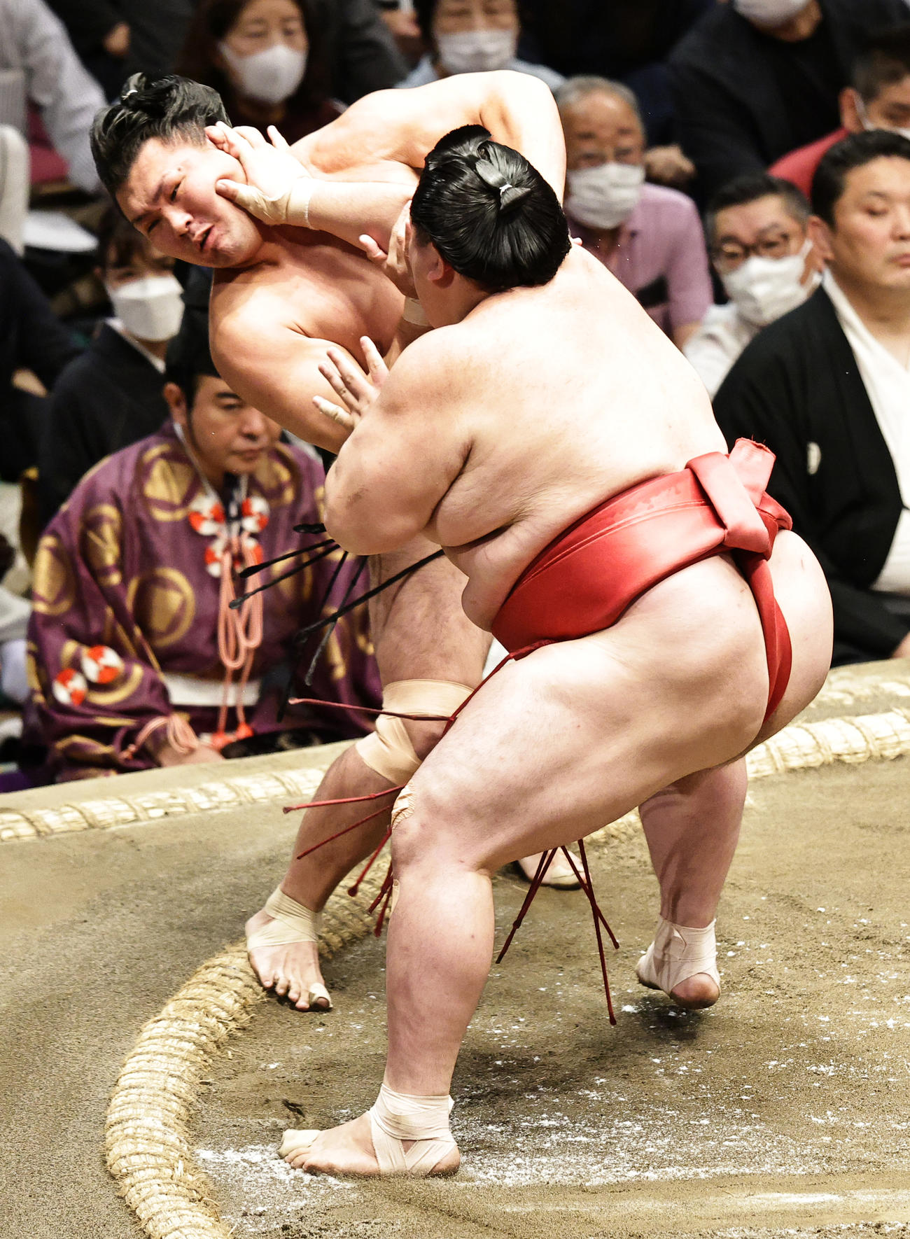 照強（左）を押し出しで破る阿武咲（撮影・中島郁夫）
