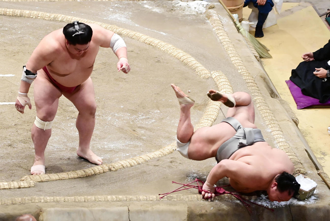 大栄翔（左）は北勝富士をはたき込みで破る（撮影・小沢裕）