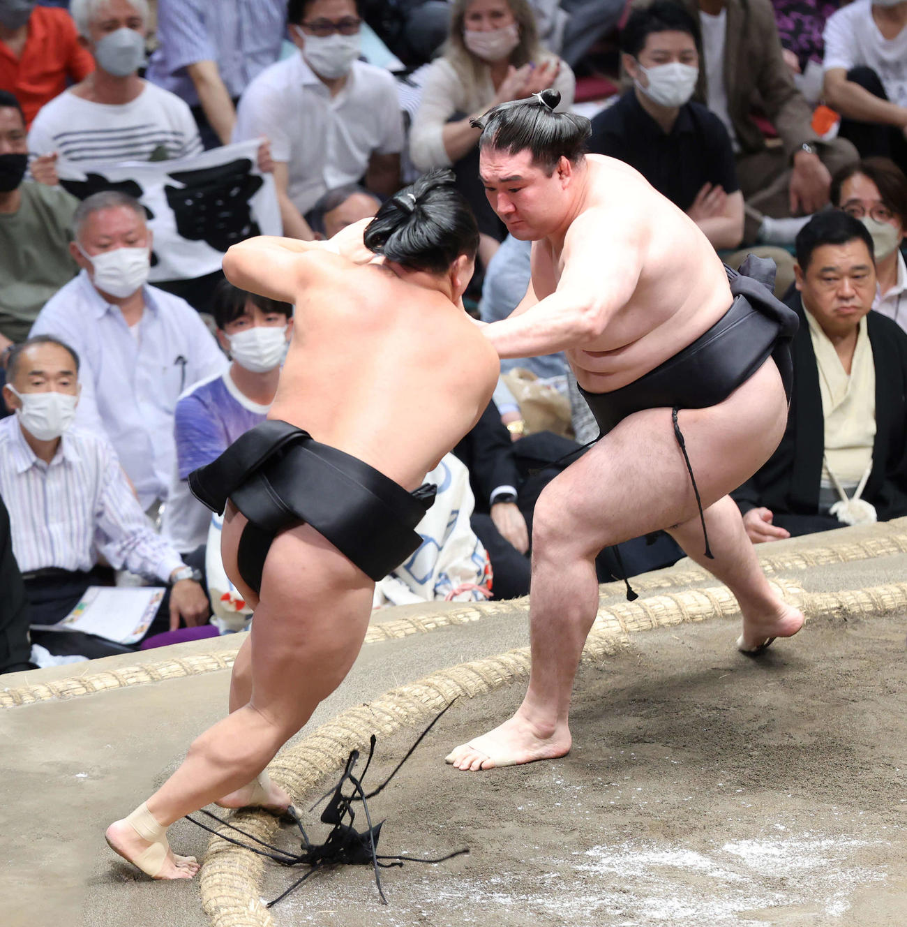 照強（左）を押し出しで破る竜電（撮影・河田真司）