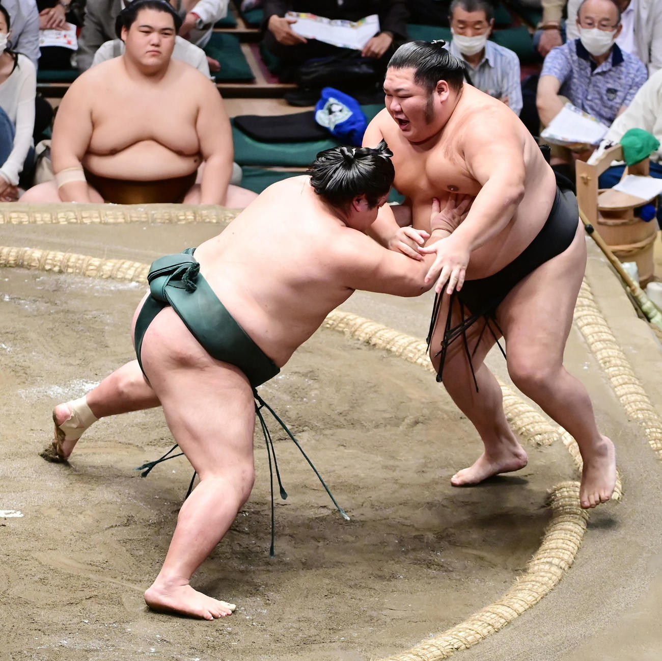 錦木（左）は千代大龍を押し出しで破る（撮影・小沢裕）