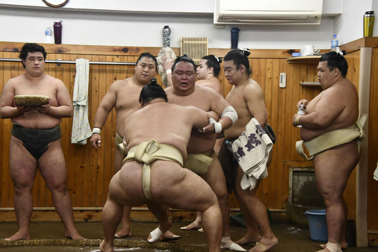 隆の勝と申し合い稽古を行う荒篤山（中央）（撮影・平山連）
