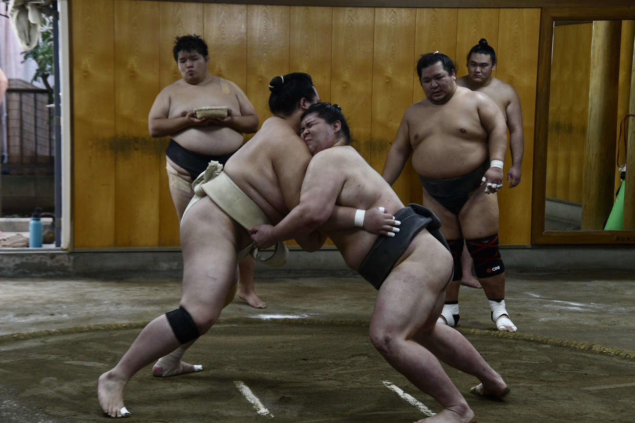 琴大進（右）と相撲を取る琴ノ若（撮影・平山連）