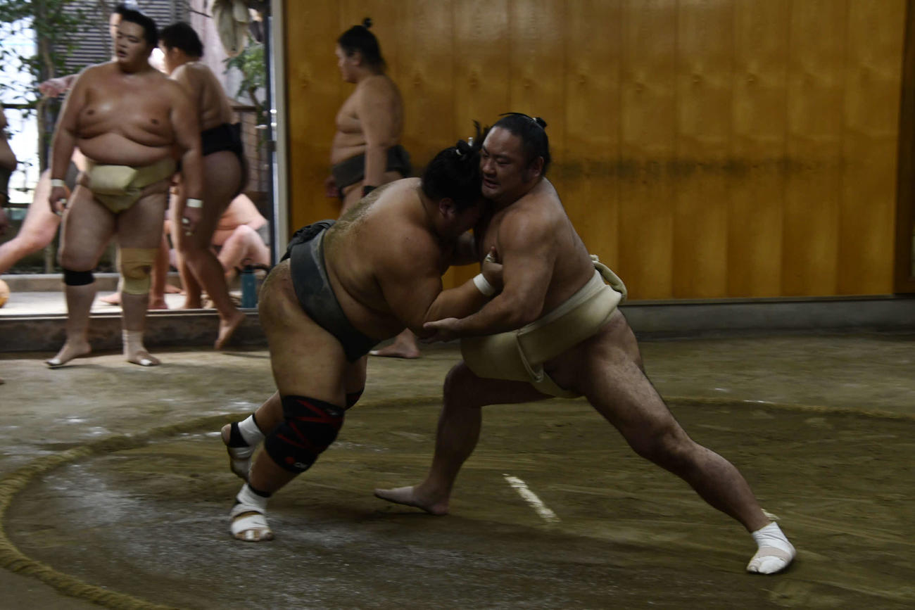 ぶつかり稽古で胸を出す琴恵光（右）（撮影・平山連）