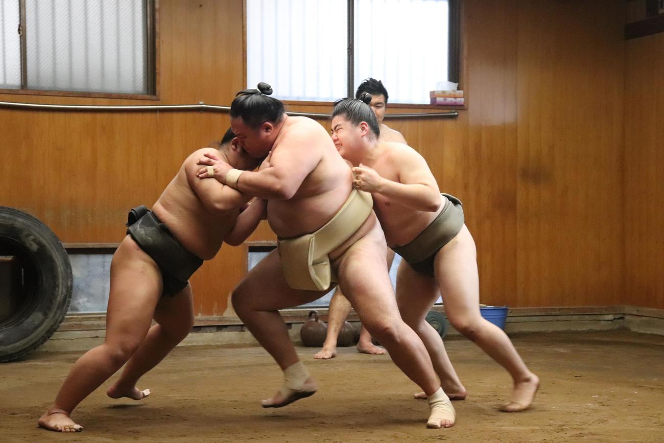 前後から若い衆に押されながらの創意工夫の稽古に汗を流す玉鷲（中央）