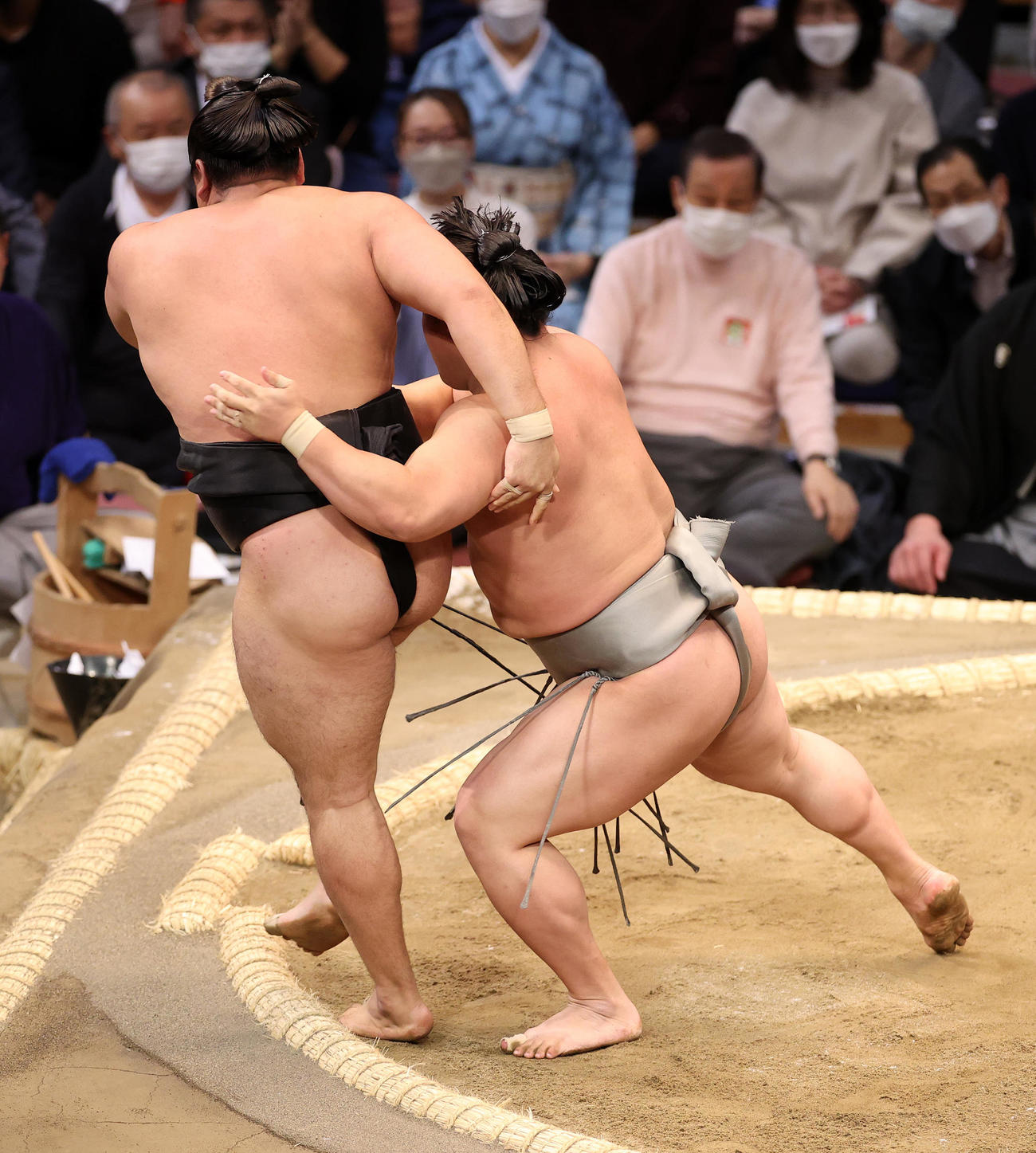 霧馬山（左）を寄り切りで破る若隆景（撮影・鈴木正人）