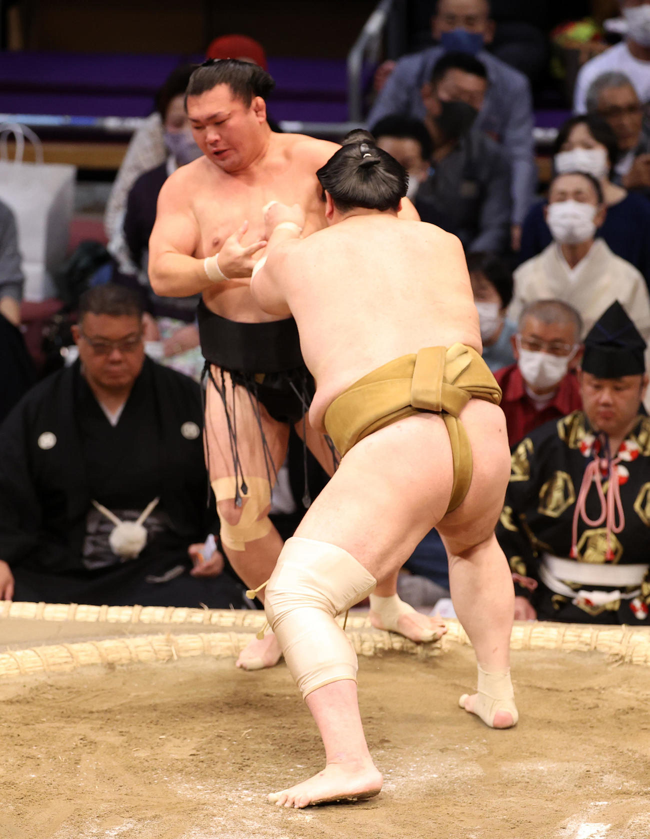 照強（後方）を押し出しで破る輝（撮影・鈴木正人）