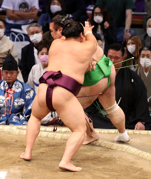 千代丸（後方）を突き出しで破る平戸海（撮影・鈴木正人）