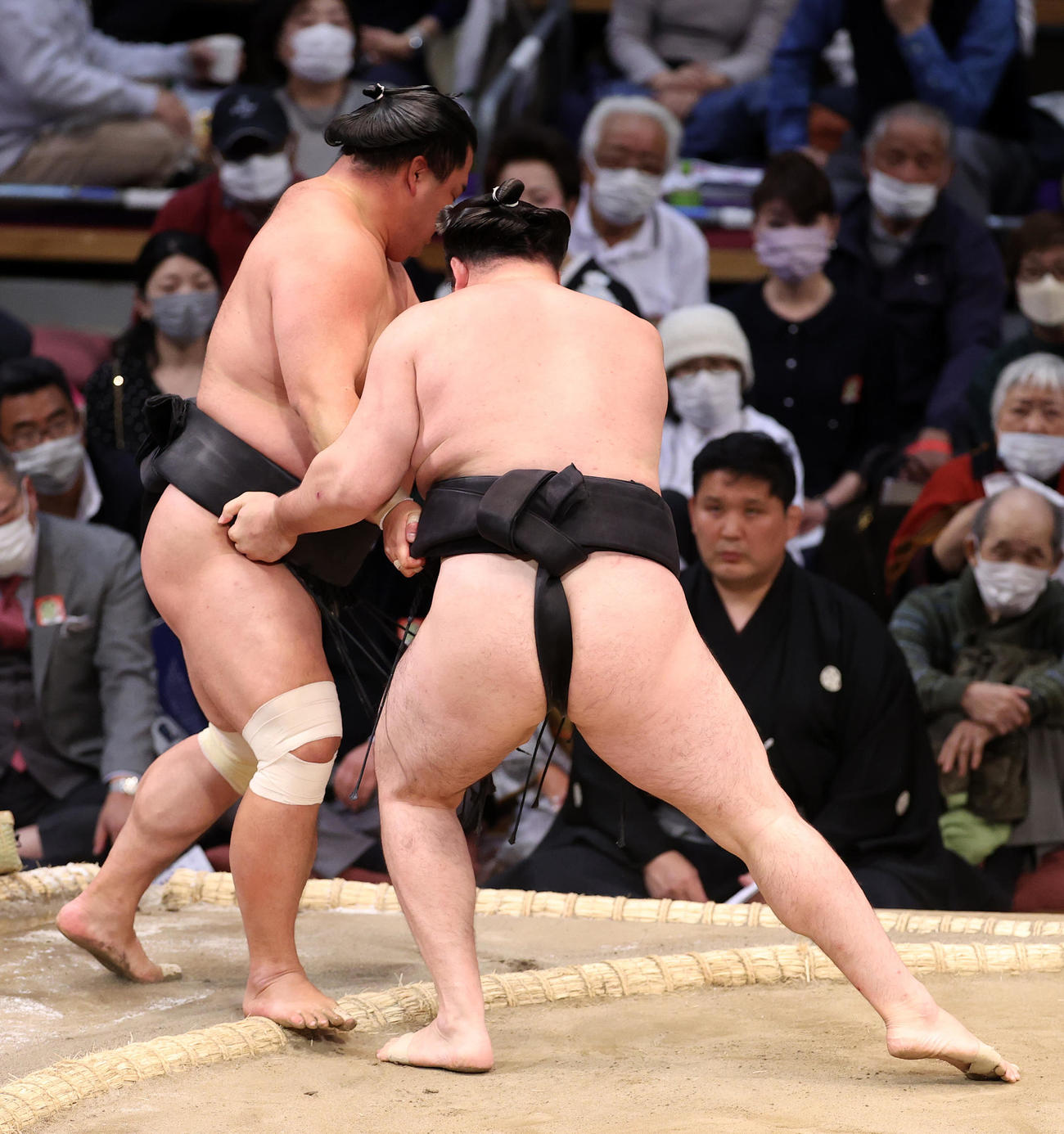 妙義龍（左）を寄り切りで破る竜電（撮影・鈴木正人）