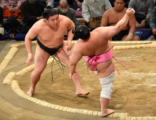 土俵際でこらえる宇良(右)、左は若元春(撮影・岩下翔太)