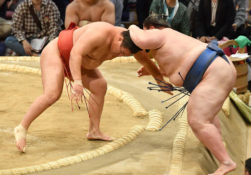 豊昇龍(左)は逸ノ城を寄り切りで破る(撮影・岩下翔太)