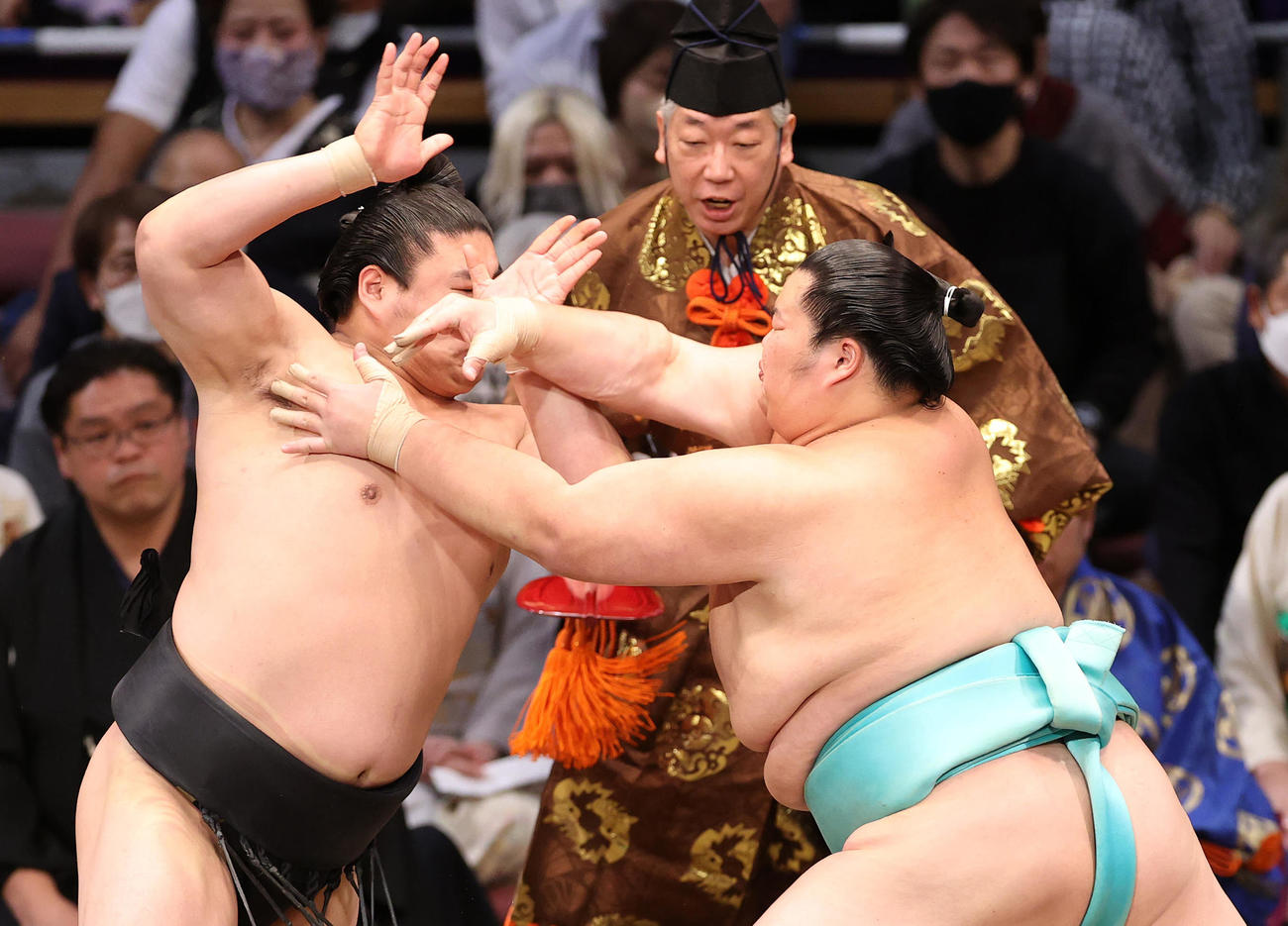 若元春（左）を攻める琴ノ若（撮影・鈴木正人）