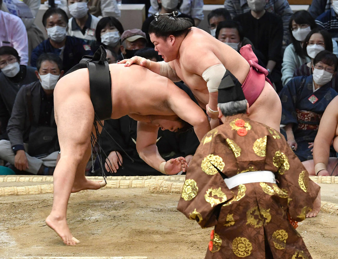 大栄翔（右）は霧馬山をはたき込みで破る（撮影・岩下翔太）