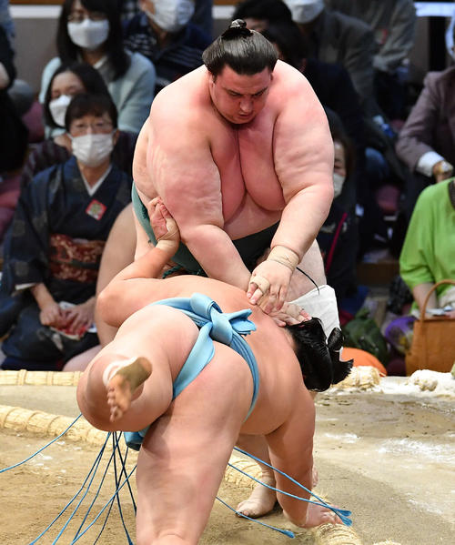 碧山（奥）は琴勝峰をはたき込みで破る（撮影・岩下翔太）