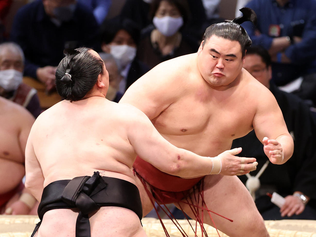 千代翔馬（左）を攻める隆の勝（撮影・鈴木正人）