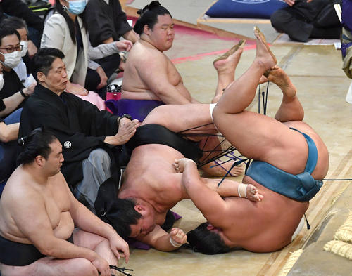 錦富士(右)を寄り倒しで破った妙義龍は、勢いあまって土俵下に落ちる(撮影・岩下翔太)