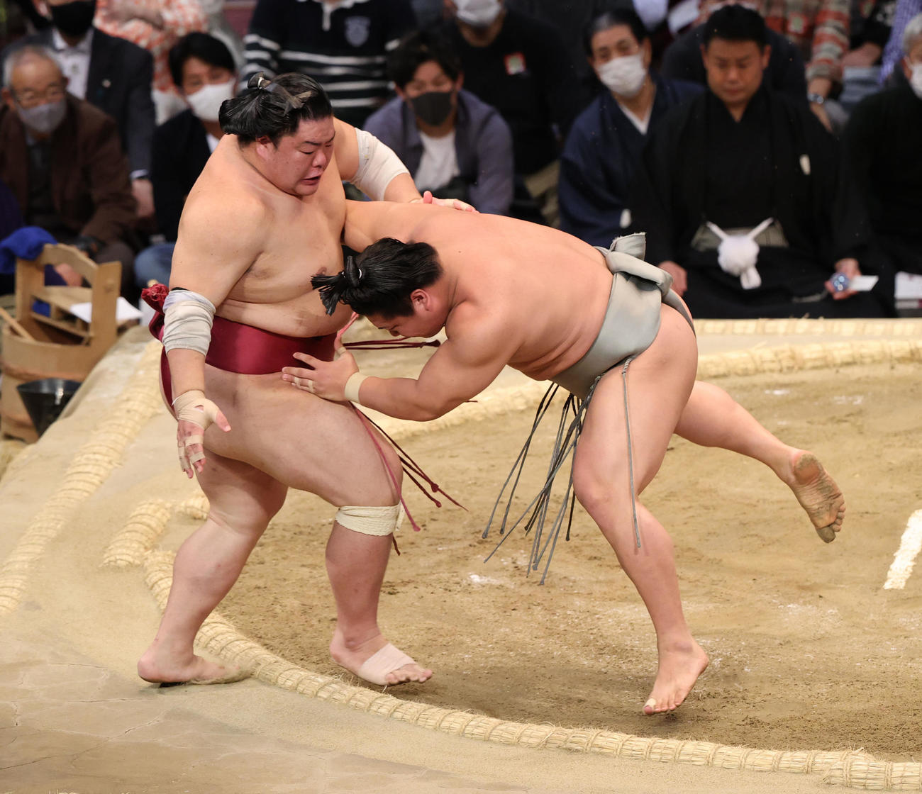 大相撲九州場所8日目　寄り切りで大栄翔を破る若隆景（撮影・梅根麻紀）