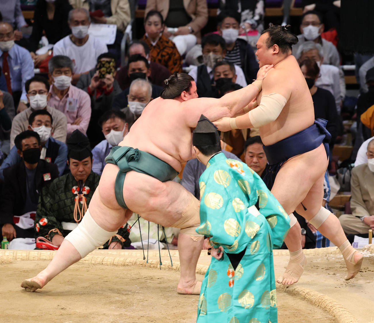 大相撲九州場所8日目　突き出しで宝富士を破る碧山（左）（撮影・梅根麻紀）