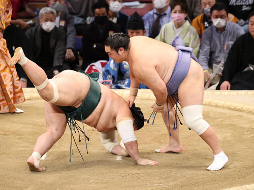 大相撲九州場所8日目 肩すかしで豊山を破る隠岐の海(撮影・梅根麻紀)