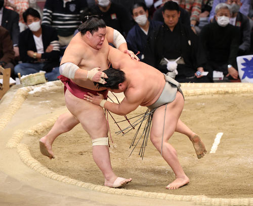 大相撲九州場所8日目 寄り切りで大栄翔を破る若隆景(撮影・梅根麻紀)