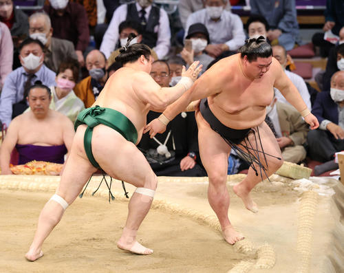 大相撲九州場所8日目 上手出し投げで正代を破る佐田の海(撮影・梅根麻紀)
