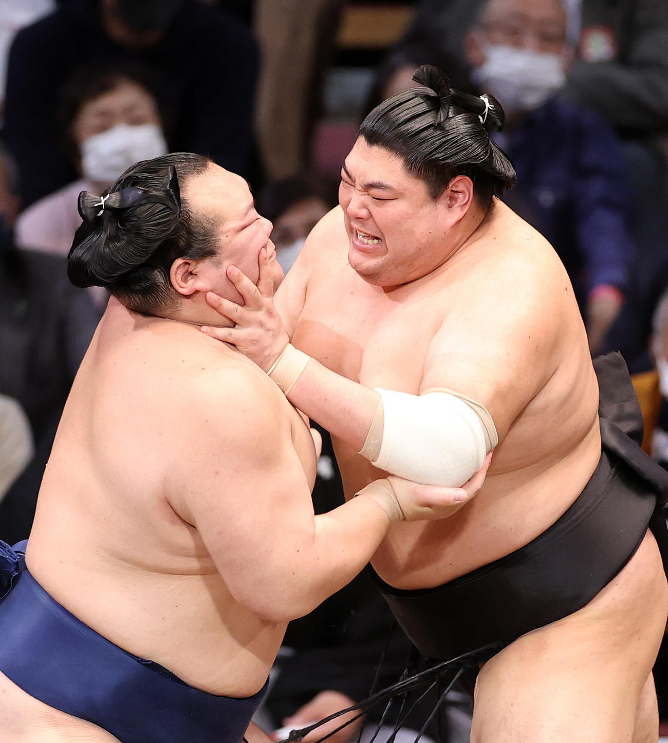 宝富士（左）を激しく攻める阿炎（撮影・鈴木正人）